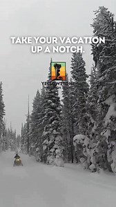 14 reactions | With hundreds of miles of groomed trails, the region surrounding Yellowstone is a snowmobilers dream | Yellowstone Vacations | Facebook