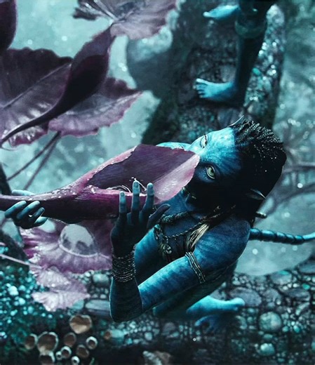beauty of pandora // scp tsaheyluscenes // #avatar #avatar2022 #avataredit #atwow #avatarfireandash Beauty of Pandora Avatar and Avatar the way of water edit