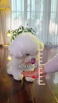 Unleash Your Dance Moves: Ultimate New Year Mini-Game Guide