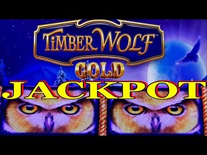 ★HANDPAY AGAIN ! JACKPOT ! TIMBER WOLF GOLD Slot★ HAPPY WOLVES !☆$375 Free Play☆$6.00 Bet /栗スロ