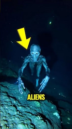 Top 3 Sea Creatures That Might Actually Be Alien