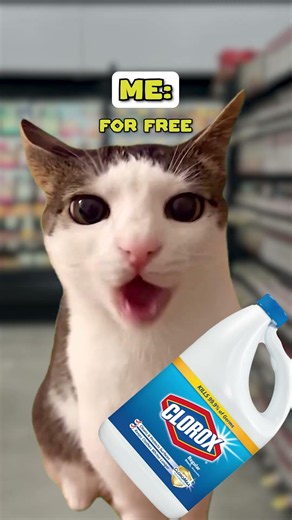 When math is not mathing - Part3 🥹 (CAT MEMES🐈) ‪@dude.dans_‬ #shorts