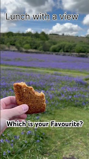 Lunch with a view | River or Moor? #walkinguk #dartmoor #nature #river #springwalk