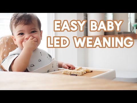 WHAT MY 10 MONTH OLD EATS IN A DAY | Super Easy Baby Led Weaning Meal Ideas