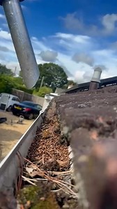 1.9K views · 15 reactions | We don't want anyone to get too excited,...