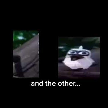 two birds on a wire one tries to fly away and the other...