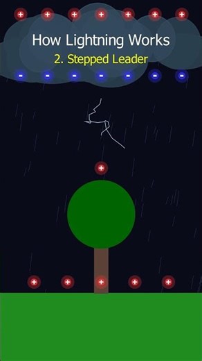 How Lightning Strike Works ? | 2D Animation | ‪@DingDingDoodle‬ | #shorts