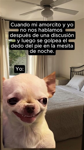 Tu Gato Curioso on Instagram: "No soy mala, el destino nomás me da motivos para sonreír en silencio 😌✨. El karma nunca falla. #HumorDePareja #RisaDiabólica #CosasDeMatrimonio #KarmaInstantáneo"