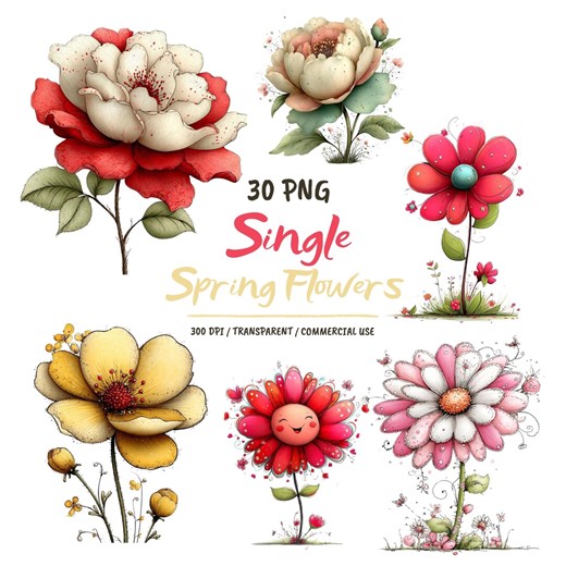 Single Spring Flower PNG Set: Whimsical Flowers Illustration | 30 PNG (digital Download) - Etsy