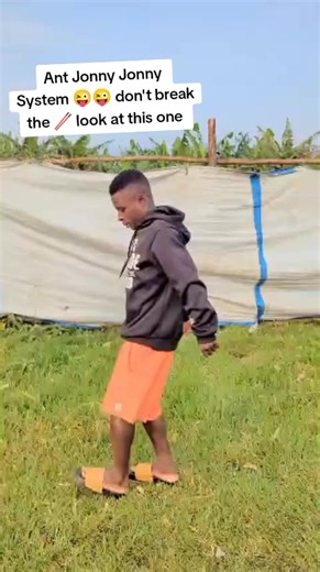 Ant Jonny Jonny System: Axe Boss Mastery Guide