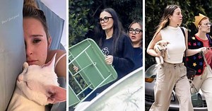 Pregnant Rumer Willis 'doesn't feel good', gets a visit from Demi Moore and sisters Scout and Tallulah