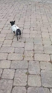 🙏❤️💯 | Davis King