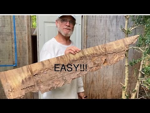 How To Repair Damaged T1-11 Wood Siding on Shed. ‪@Butchandbellesvilla‬