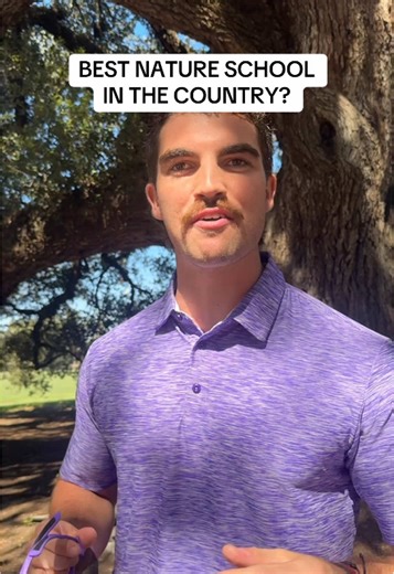 Discover the Unique Trees at LSU Campus