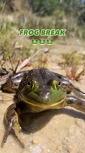 420K views · 8.9K reactions | Hop on over to our page anytime you...