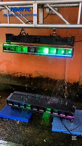 10X60W LED Moving Head Bar Light #ledmovinghead #ledmovingheads #ledmovingheadlighting #ledmovingheadlight #ledmovingheadlights #ledmovingheadzoom #movingheadlights #movingheadlight #movingheadlighting #movingheadslights #movingheadbeam | Blue Sea Lighting