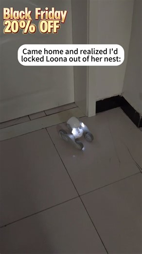 Unlock Our Epic Black Friday Sale! 🗝️ Save Up to $190 on LOONA — the AI pet that plays, learns & loves! Grab your exclusive coupon now! ⬇️ | KEYi TECH