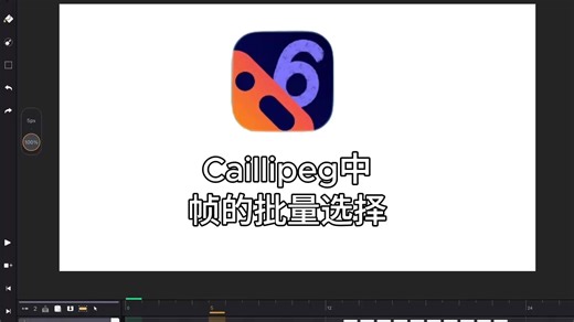 如何使用 Callipeg 的帧的多选
