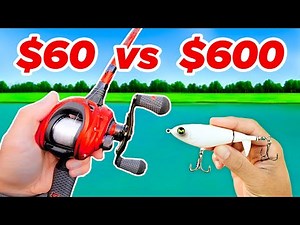 $60 vs $600 Budget Fishing Challenge (Rod, Reel, Lures)