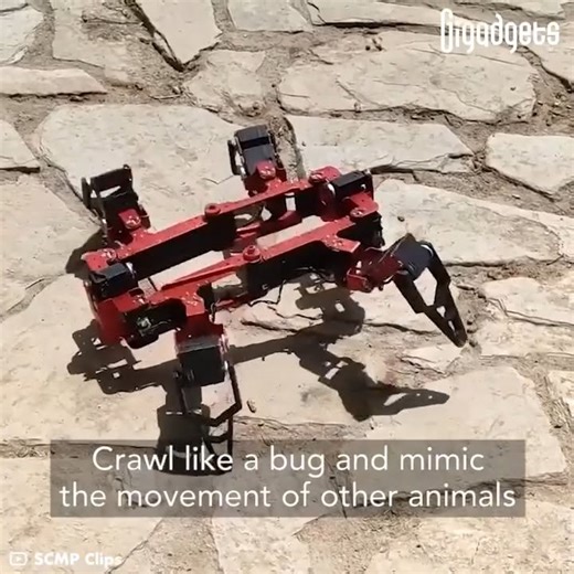 This shape-shifting robot can mimic different animals to adapt and move through various terrains. Origaker is a bio-like, multi-mimicry quadruped robot that can change its structure to imitate different animals. Inspired by and named after origami, the robot can adapt and move through various terrains by constantly changing its configurations. Developed by a research team at the Southern University of Science and Technology in Shenzhen, China, Origaker is the first robot of its kind that can swi