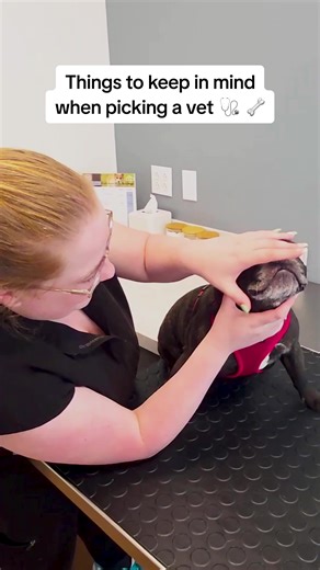 Looking for the right vet? Take our 30 second quiz and discover how GoodVets pairs you with a vet who’s also the clinic owner. Your pet gets care from someone personally invested. Plus, enjoy $50 Off your first visit. | GoodVets