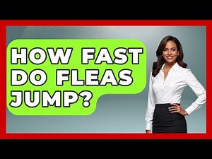 How Fast Do Fleas Jump? - Insects and Invaders