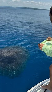 Got 99 problems but a cast net ain’t one #fsfgear #floridasportfishing #fishing #castnet @ferelias_0202 | Florida Sport Fishing