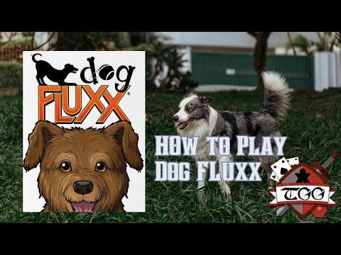How to Play Dog Fluxx | Rules, Setup & Gameplay Tutorial