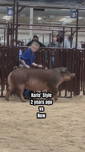 2.2M views · 37K reactions | Karis 2 years ago vs Now showing pigs at livestock shows! #showpigs #stockshowlife | Dadson Farms | Facebook