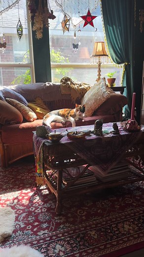 Beautiful Morning Light in My Altar Room for Yule