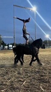 How new moves “accidentally” comes to life at Gladius! Francesca and @erik1gladius have been working hard on this brand new trick for a few weeks and it’s coming together pretty nicely! Will you be there to see it first time ever performed live at our spring show May 2nd and 3rd 🤩 #romanriding #gladiustheshow #stunts #butterfly #badass #awesomness #trick #performerlife | Gladius the Show
