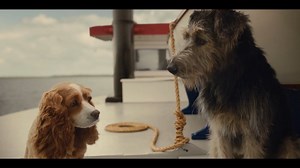 4.7K views · 111 reactions | What better way to celebrate #NationalRescueDogDay than with Lady and the Tramp, now streaming on #DisneyPlus! Did you know the titular dogs in the film were played by rescues?  | Walt Disney Studios | Facebook