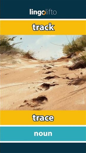 🇬🇧🇫🇷 track - trace : learn English : apprenons l'anglais : vocabulary builder