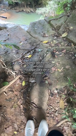 JAJAJAJA osea pero almenos se ve otro tipo de monte 🤣🤣 @Carlitos_18 o que PRI ? #jajaja #naturaleza #paseo #cascadas
