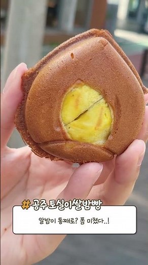 알밤이 통째로?! 폼 미쳤다리 공주 토실이쌀밤빵🌰 (ft.생활의달인)