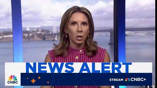 AI chipmaker Cerebras withdraws IPO