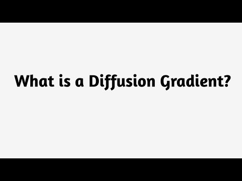 What is a Diffusion Gradient ?