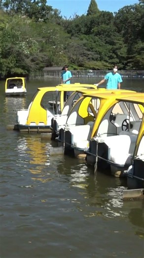 真夏の横浜「こどもの国」 深緑に囲まれた池のボート乗り場