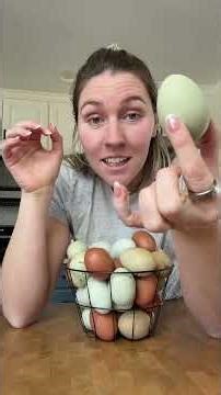 Why Store-Bought Eggs Are Failing You (Get Backyard Chickens Instead)