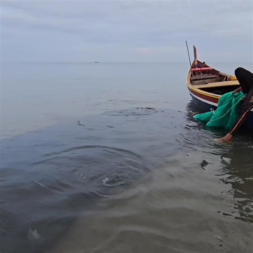 Massive Fish Catch Using Beach Seine Net #BeachSeineNet #MassiveFishCatch #TraditionalFishing | Muammar Rafly