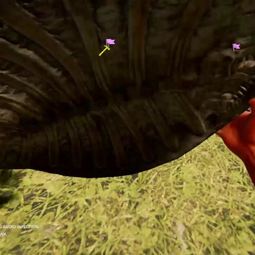 Turtle Slide Adventure in The Forest Game