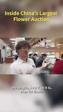 Inside China's Largest Flower Auction