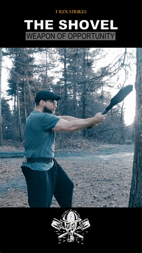 2.6K views · 41 reactions | The Rhinos are a subcategory of the T-rex...