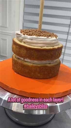 🤎 Layer after layer of Bailey’s magic 🤎 Creamy, dreamy, and dangerously delicious! Who needs a drink when your dessert does it better? 😉🍰 #baileysbliss * #cakes4sakes #cakesofinstagram #cakesofig #cakesofinsta #torontocakes #cakelover #cakestagram #cakedecorating #celebrationcake #cakedesign #baileys #baileyscake #cakeporn | Cakes For Heaven's Sakes