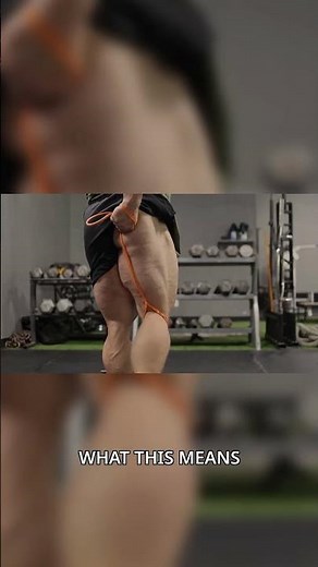 Hamstring Anatomy: Hip Extensors & Knee Flexors