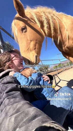 The Unbreakable Bond: Trust Between Animals and Humans