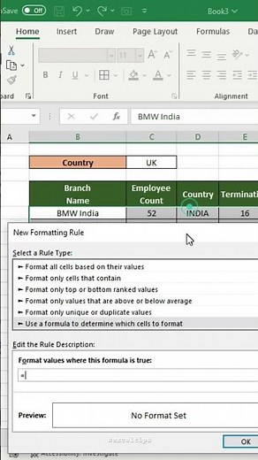 Conditional Formatting In Excel #Excel2024