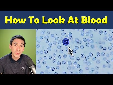 🔬 How to stain and observe Blood under the microscope - Tutorial