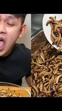 EATING DRAGon WORM - ដង្គូវនាគ