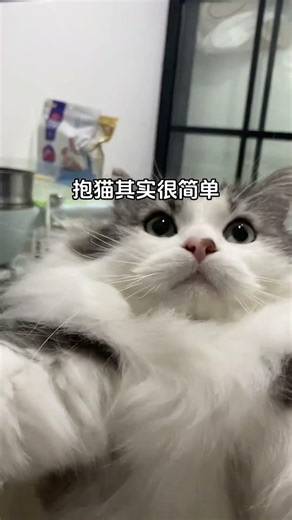 难忘的爱情瞬间：一转头，抱紧，深情吻